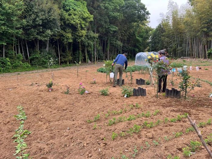 Gái Việt làm dâu Nhật: mẹ chồng tặng mảnh đất 1400m2 để làm vườn