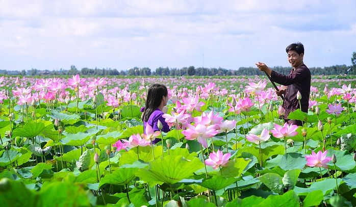 Ghé qua Đồng Tháp - quê nhà Á hậu Thủy Tiên: Thăm nhà cổ 127 năm tuổi