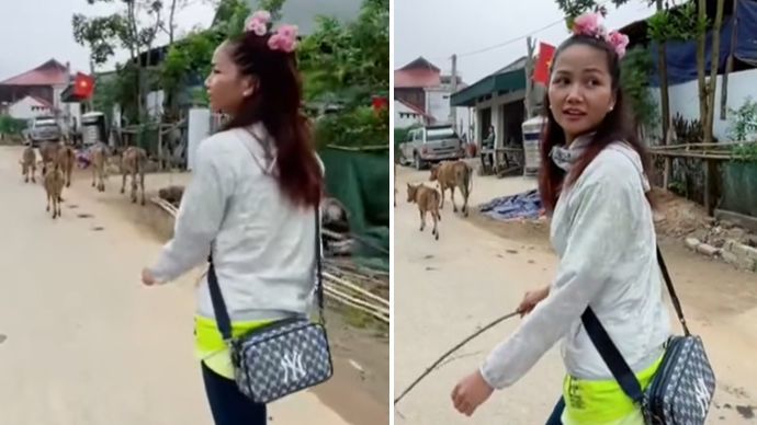 Việc chân tay H'Hen Niê đều cân hết: leo thang, sơn tường có là gì