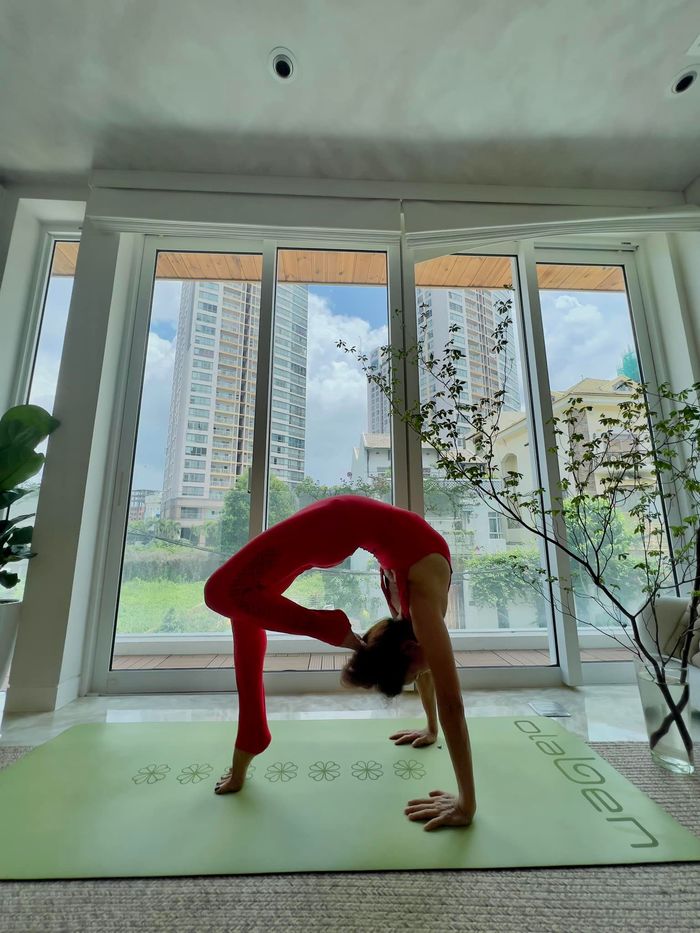 Mẹ ruột U70 của Hồ Ngọc Hà: chăm 2 cháu dư sức, váy áo đa dạng