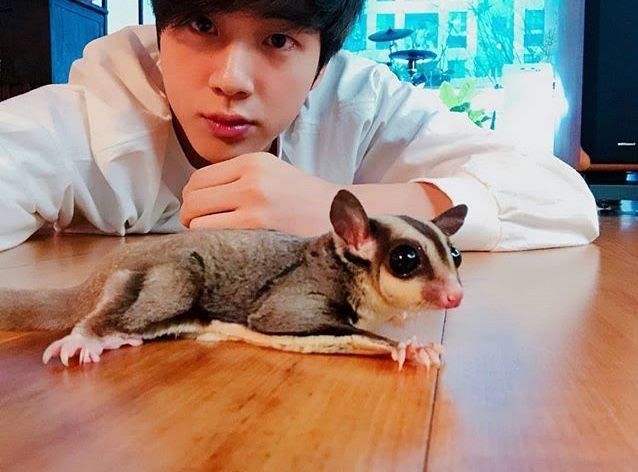 Những thú cưng độc lạ của idol Kpop: TXT xứng làm ông trùm vật nuôi