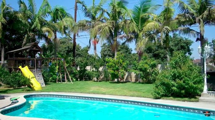 Sao Việt mát tay làm vườn trái cây ăn quanh năm ở Mỹ