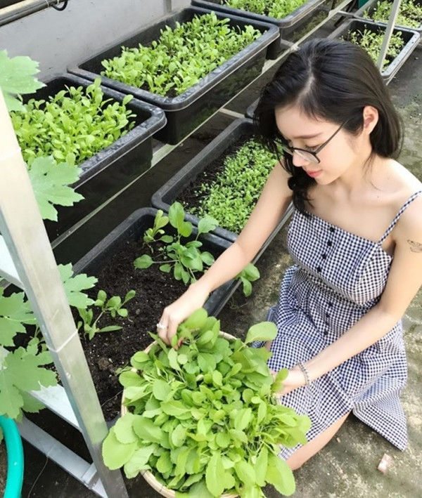 Sao Việt trồng rau quả trên sân thượng nhà phố: Cẩm Ly siêu mát tay