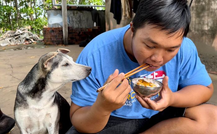 Chàng trai trẻ bỏ phố về quê gắn bó với những chú chó cỏ