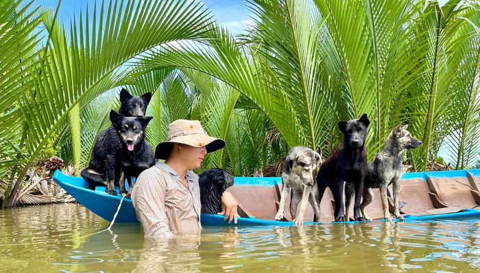 Chàng trai trẻ bỏ phố về quê gắn bó với những chú chó cỏ