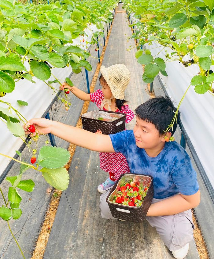Hôn nhân 5 năm chỉ thăng không trầm của Lê Phương - Trung Kiên