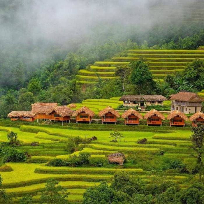 Gợi ý những homestay nên ghé nếu đến Mù Cang Chải săn mùa lúa mới