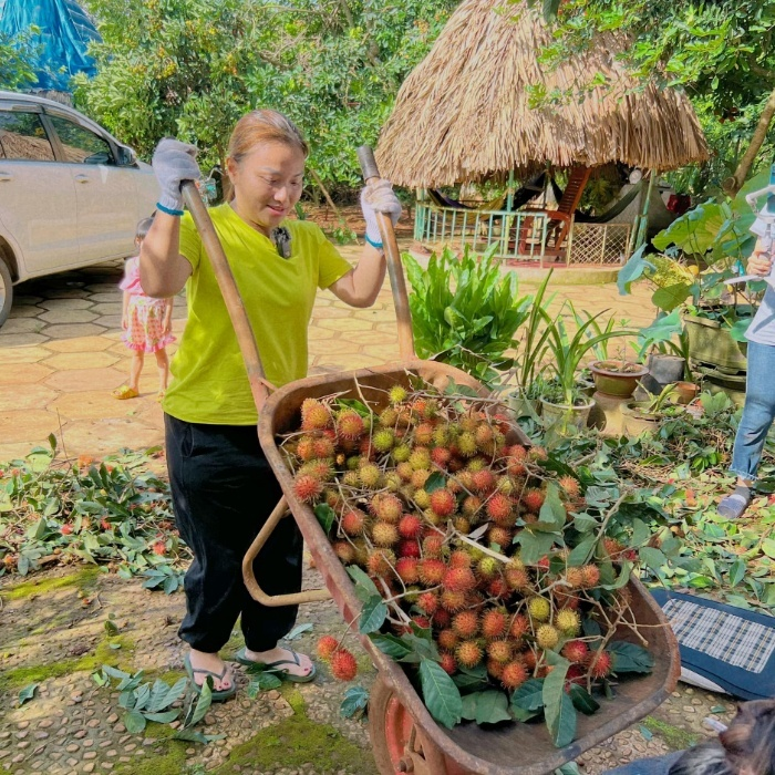 Lên chức chủ tịch, Quỳnh Trần JP đổi view làm việc mỗi ngày