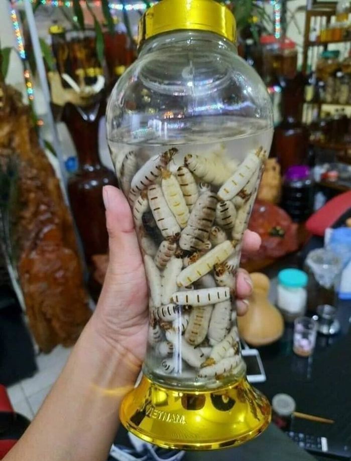Nghề độc đáo mệnh danh đào ra tiền, thu tiền triệu mỗi ngày