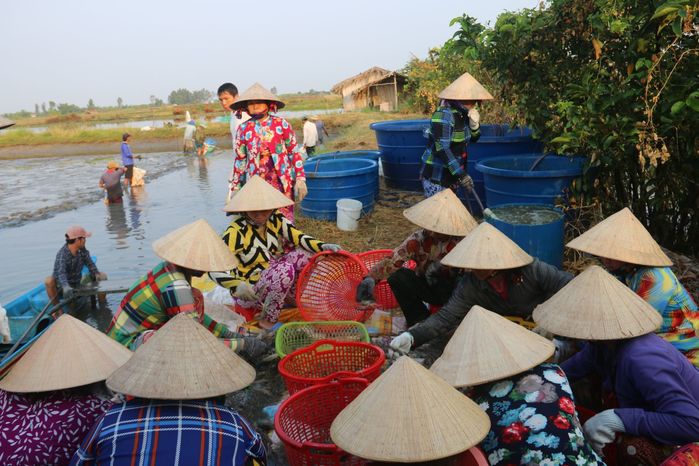 Tiktoker nước ngoài review những hình ảnh chỉ thấy được ở Việt Nam