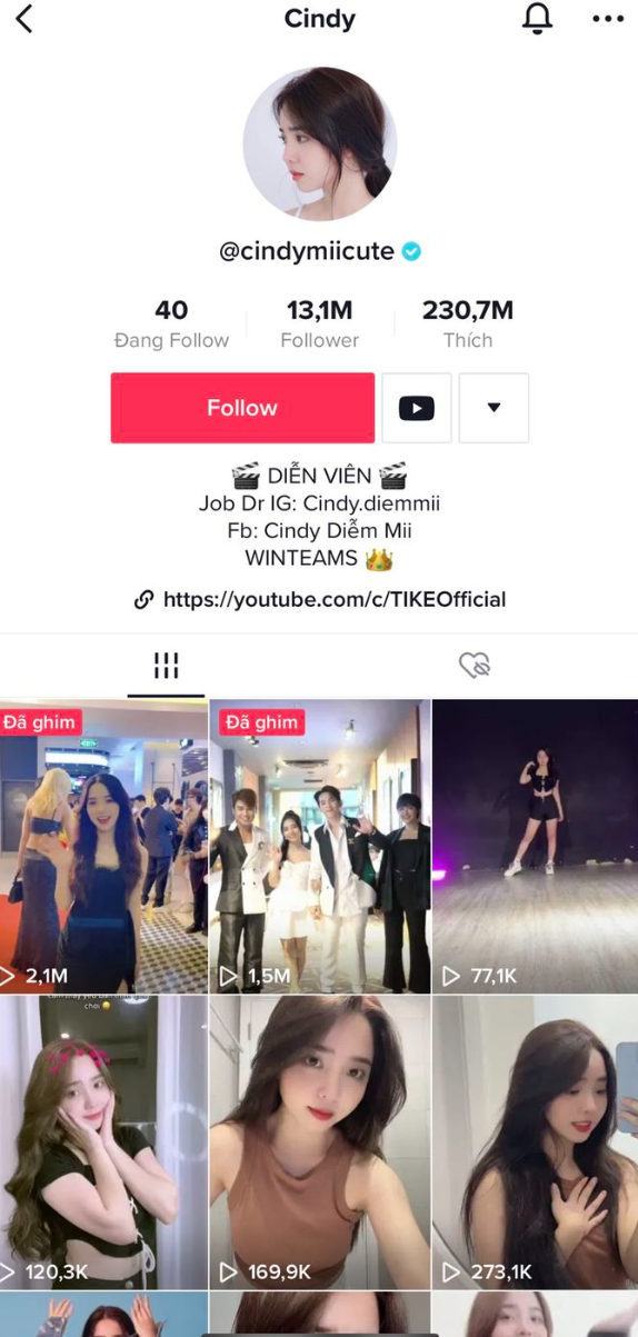 Top 5 hot girl có lượt theo dõi khủng nhất TikTok Việt Nam