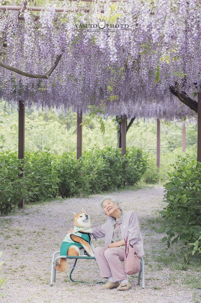 Cụ bà bình yên, cute bên chó cưng, chị em nghĩ: Đúng là tôi khi về già