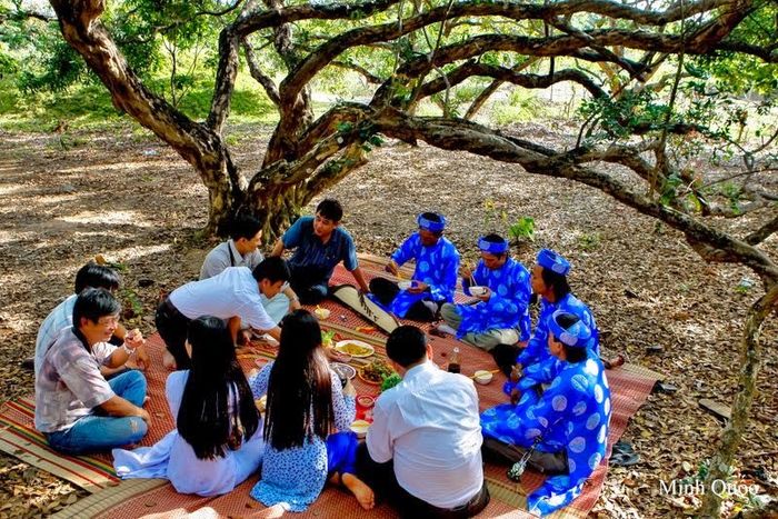 Bạc Liêu không chỉ có cánh đồng gió: Ghé ngay vườn nhãn trăm năm tuổi