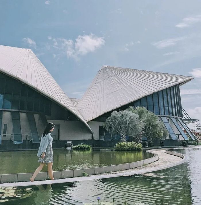 Bạc Liêu không chỉ có cánh đồng gió: Ghé ngay vườn nhãn trăm năm tuổi