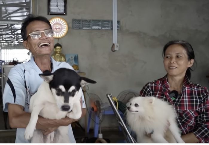 Cặp vợ chồng không sinh con, cưu mang hơn 300 chó mèo: chỉ ăn chay