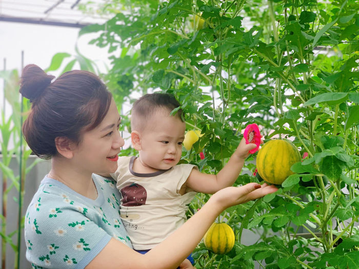 Mẹ đảm Nghệ An chi 100 triệu làm vườn: Chồng con tha hồ ăn rau sạch