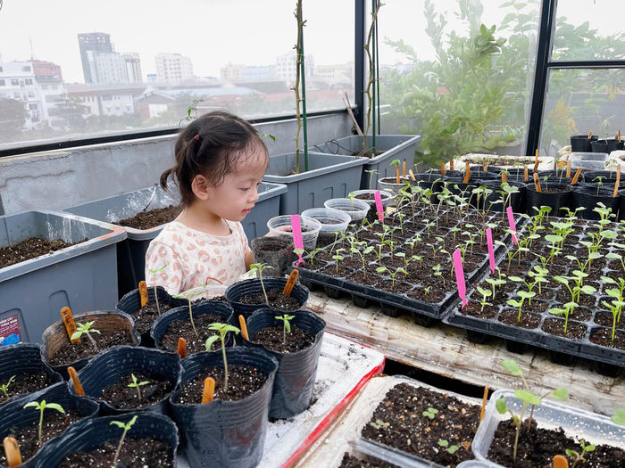 Mẹ đảm Nghệ An chi 100 triệu làm vườn: Chồng con tha hồ ăn rau sạch