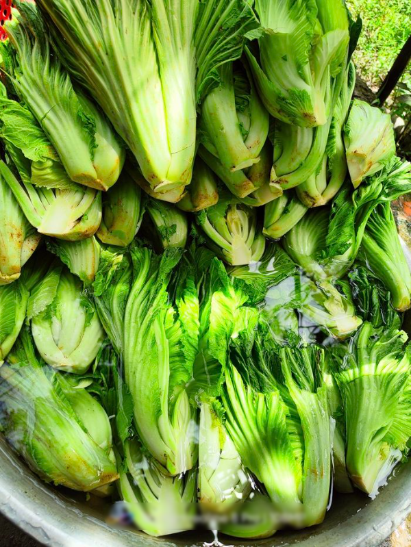 Mẹ đảm Tiền Giang mách chị em muối dưa ăn Tết siêu bắt cơm