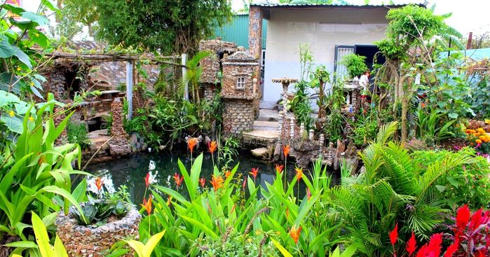 Mẹ đảm Điện Biên trồng vườn đơn giản nhưng ngập tràn cây trái