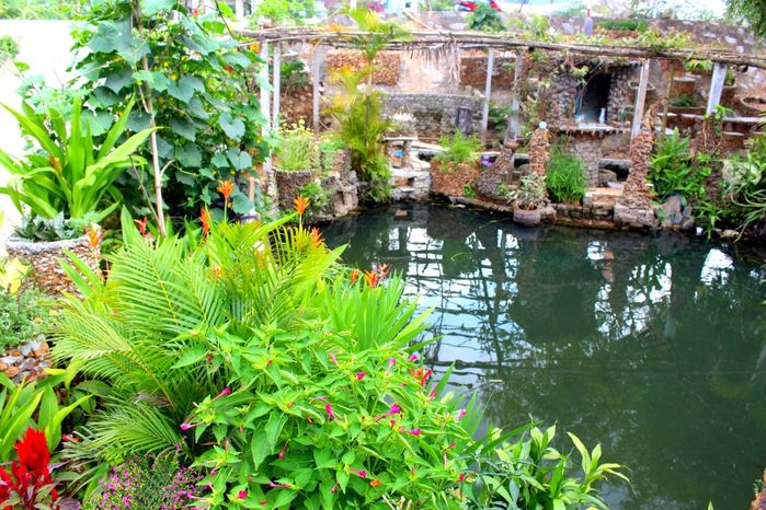Mẹ đảm Điện Biên trồng vườn đơn giản nhưng ngập tràn cây trái