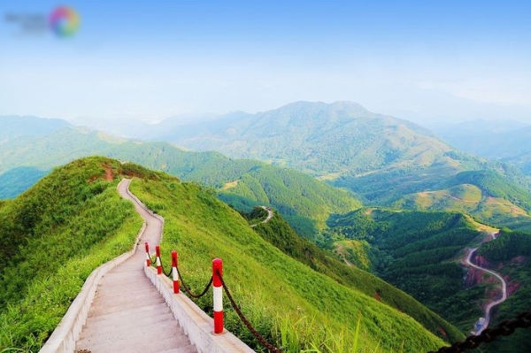 Sống lưng khủng long Bình Liêu vào mùa cỏ lau: Đẹp như phim điện ảnh