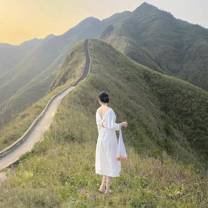 Sống lưng khủng long Bình Liêu vào mùa cỏ lau: Đẹp như phim điện ảnh
