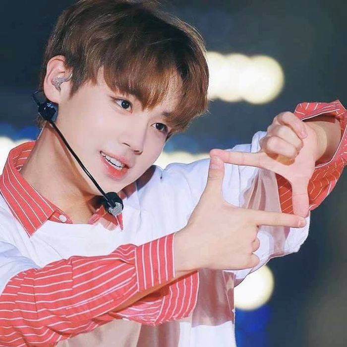 Park Jihoon chuyển mình: Từ idol Kpop đáng yêu tới diễn viên ấn tượng