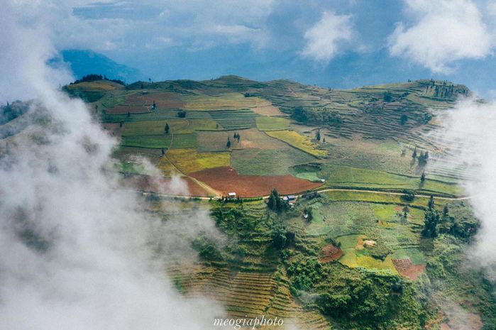 Ghé thảo nguyên Suôi Thầu, Hà Giang ngắm tam giác mạch nở hồng núi đồi