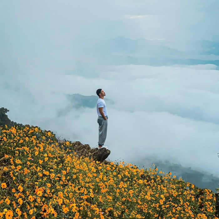 Bỏ phố lên núi săn mây cực chill: Cách Hà Nội 150km, dễ săn hơn Tà Xùa