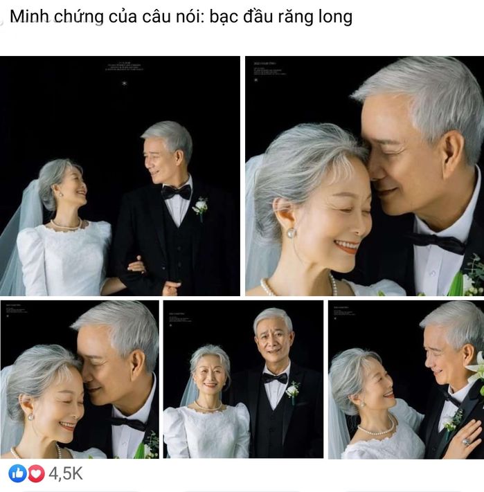 Ảnh cưới trọn đời bên em gây bão mạng, người trẻ thi nhau xin vía