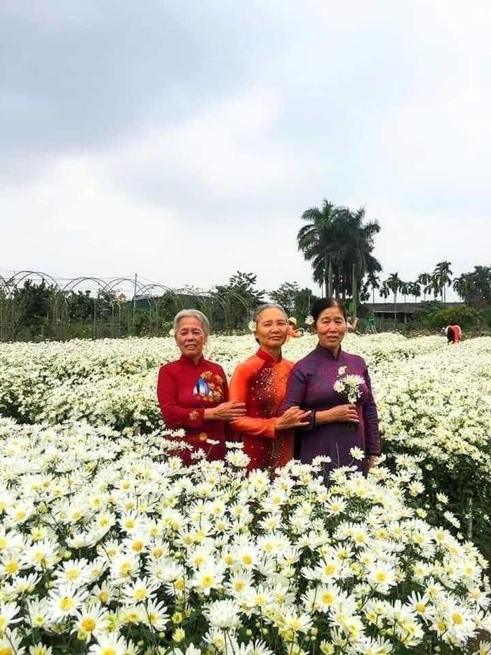 Ngưỡng mộ ảnh hội bạn thân của các cụ: Về già tôi và bạn sẽ thế này!