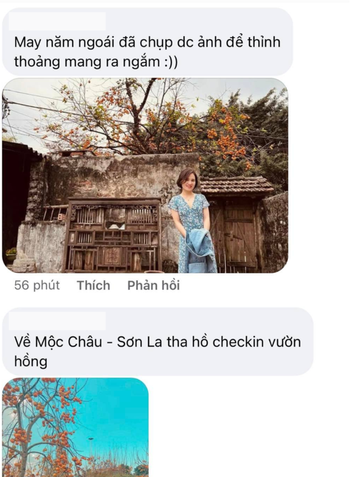 Gắn quả giả đánh lừa thị giác: Du khách ngã ngửa, đã vậy còn thu phí