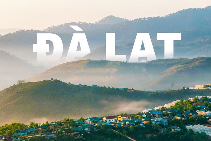 Gắn quả giả đánh lừa thị giác: Du khách ngã ngửa, đã vậy còn thu phí