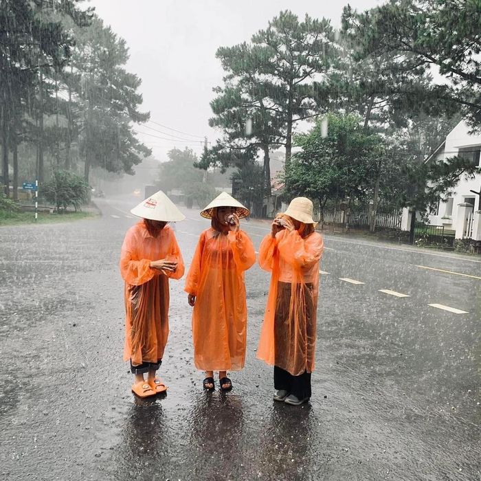 Giữ 12 ngày phép để đi Đà Lạt: Hội bạn ngậm ngùi chụp ảnh với áo mưa
