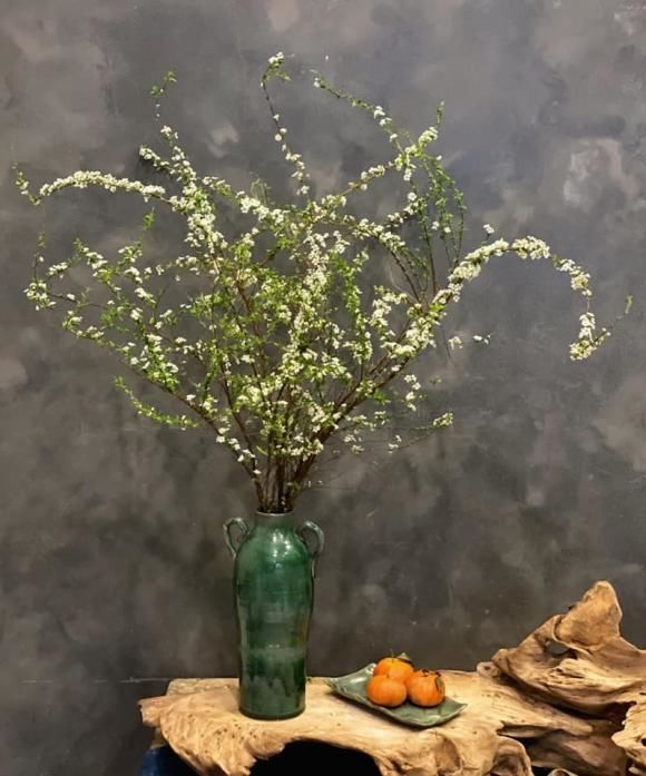 Lần đầu cắm hoa tuyết mai, tưởng bó củi khô ai dè đẹp xỉu