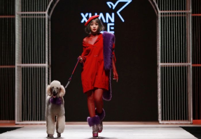 Mỹ nhân Việt mang cún lên sàn catwalk: Huyền My muốn độn thổ