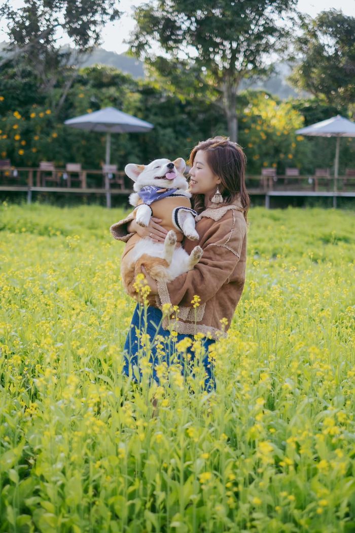Thánh địa sống ảo mới toanh: Thôn 13 Đà Lạt đẹp như châu Âu thu nhỏ