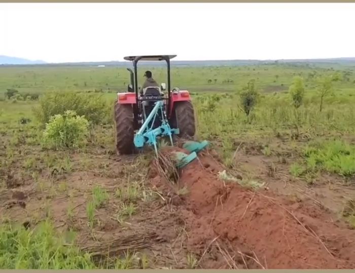 Quang Linh Vlog đánh máy cày viết tên Thùy Tiên trên cánh đồng