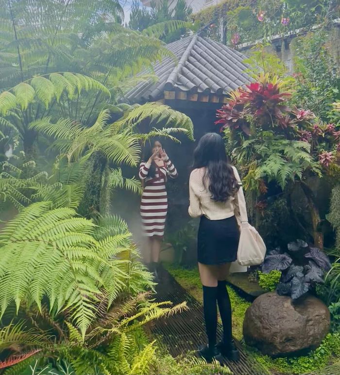 Con gái Quyền Linh đẹp tựa công chúa tuyết, đẹp trong mọi ống kính
