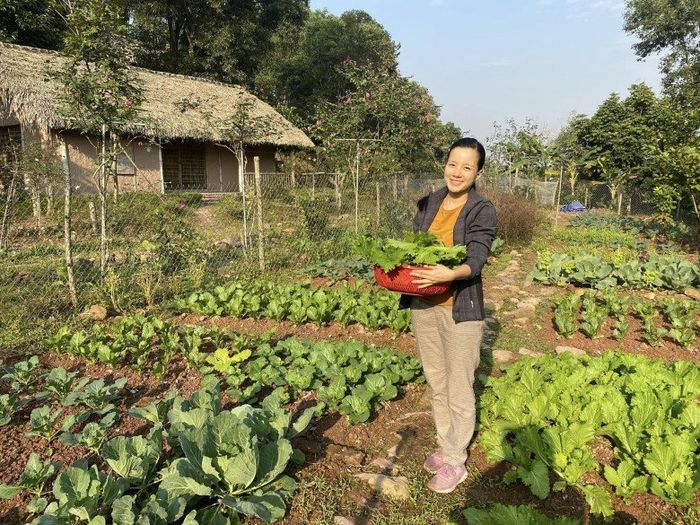 Những nữ MC sở hữu vườn rau xanh mướt vạn người mê