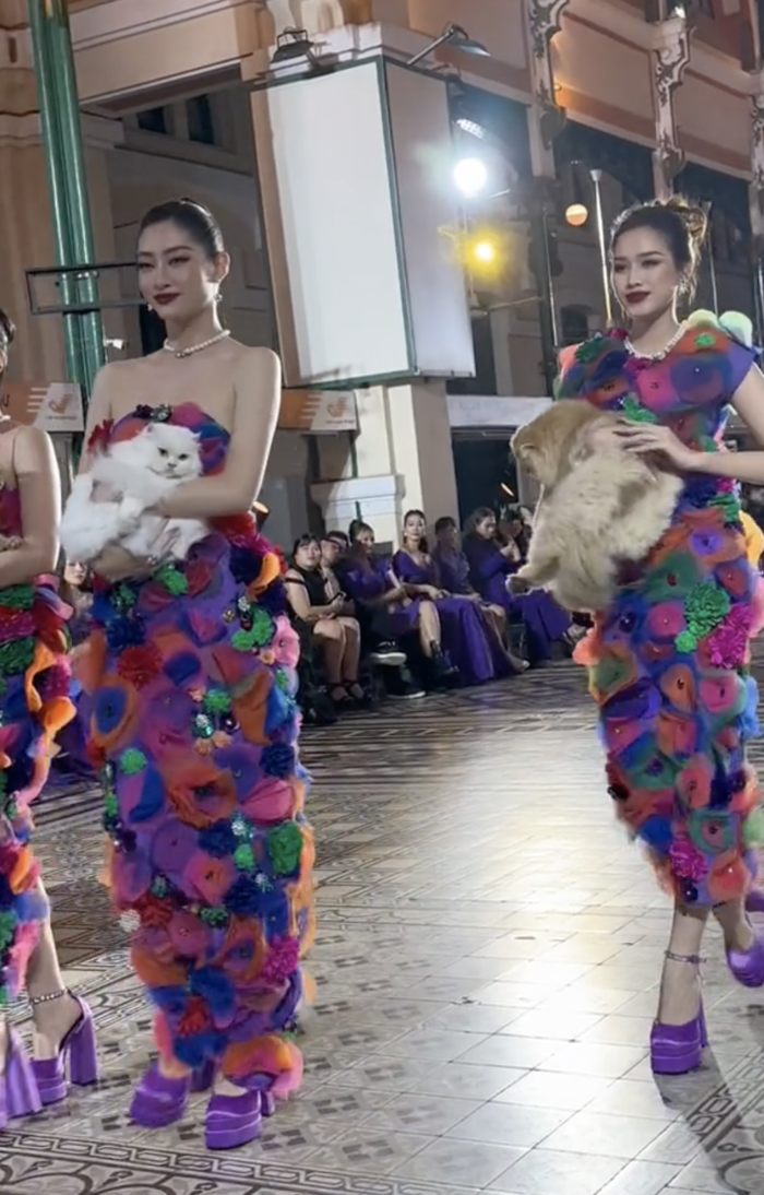 Catwalk cùng thú cưng: Đỗ Thị Hà lúng túng khi bạn diễn không hợp tác
