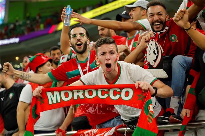 Hãng hàng không Maroc cho 30 máy bay chở 45.000 CĐV đến World Cup