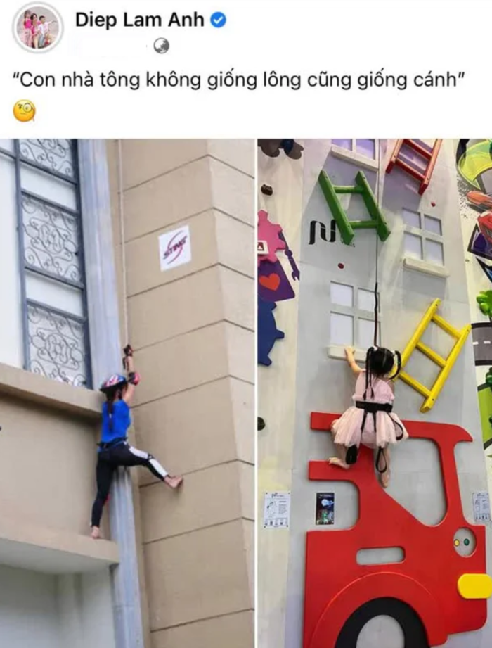 Mẹ con Diệp Lâm Anh khoe sắc bên cây thông Giáng sinh