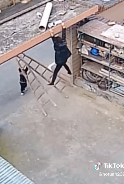 Mẹ làm rơi thang lúc trèo cao, bé trai dùng hết sức bình sinh dựng lại