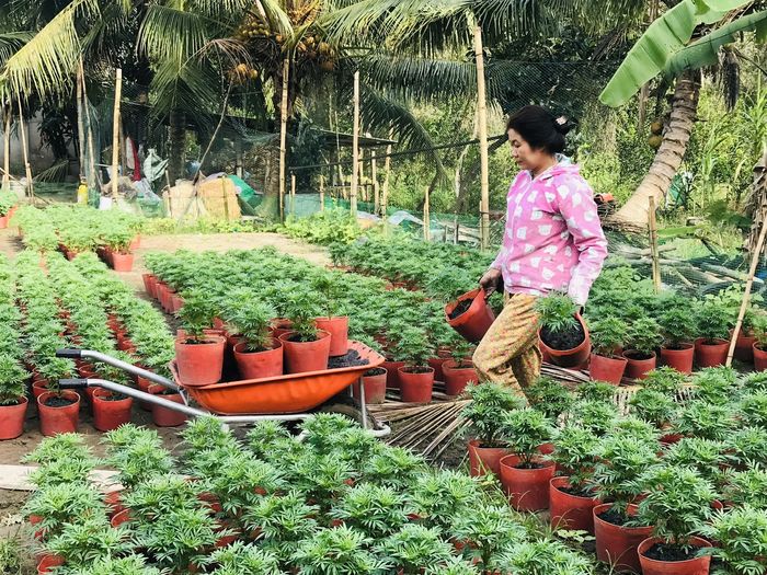 Về thăm “xóm vạn thọ” 20 năm tuổi ở miền Tây: Hoa chưa nở đã thấy Tết 