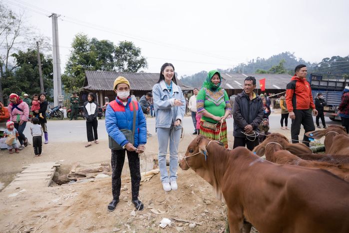 Á hậu Phương Nhi tặng 20 con bò cho bà con khó khăn ở Thanh Hóa