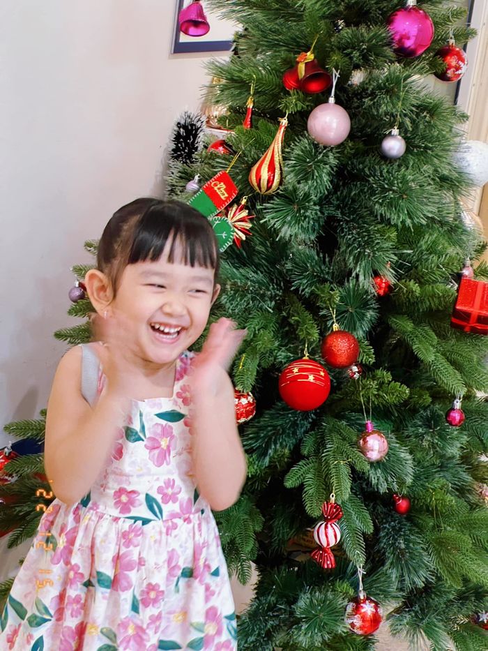 Cháu gái xinh xắn của sao Việt: Cháu Ngọc Trinh, Mỹ Tâm giống cô y đúc