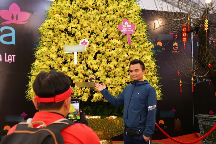 Hà Nội: Chậu lan hồ điệp cao 7m được rao bán đến 1,7 tỷ đồng