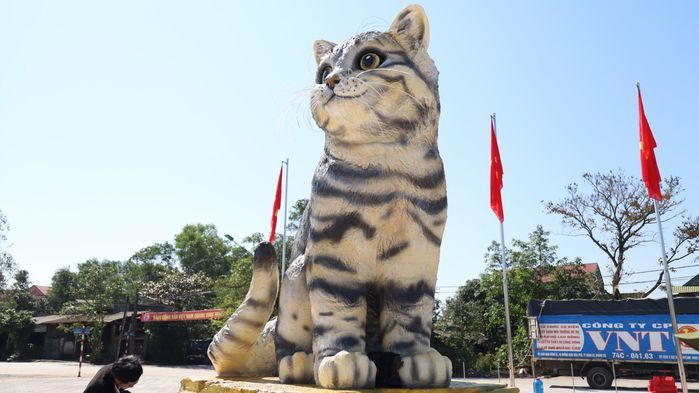 “Hoa hậu mèo” Quảng Trị khiến dân tình thắc mắc sẽ đến bến đỗ mới nào