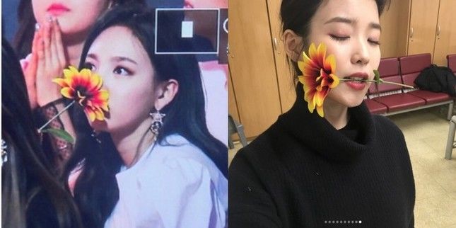 Idol Kpop sử dụng quà fan tặng: Rosé mê quà fan Việt, dùng nhiều năm